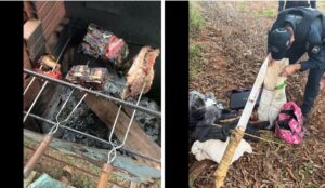 Índios apavoram família, pegam joias e assam churrasco em fazenda invadida em Amambai