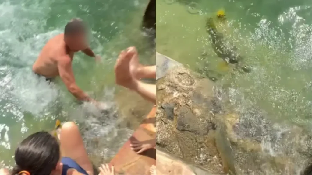 Dourado cruza rio entre banhistas em Bonito durante caça a Piraputanga