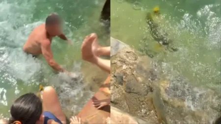 Dourado cruza rio entre banhistas em Bonito durante caça a Piraputanga