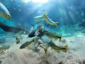 Rio da Prata em MS supera Pão de Açúcar e Inhotim em prêmio nacional de turismo