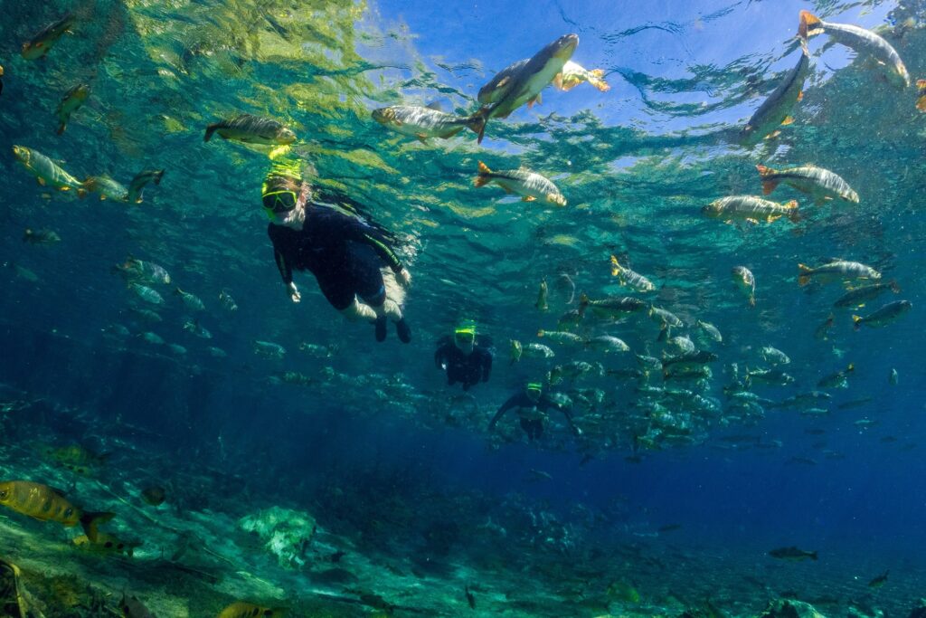 Atrativo de MS concorre entre os melhores destinos turísticos do Brasil