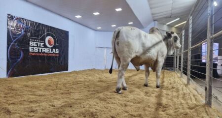 Expogrande 2026 movimenta R$ 854,5 milhões e consolida-se entre as maiores do Brasil