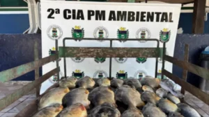 Pescador é multado com 18 kg de peixe na véspera da Páscoa em Corumbá