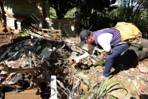 Com mais de 10,8 mil casos, chikungunya em MS já supera metade dos registros da última década Com mais de 10,8 mil casos, chikungunya em MS já supera metade dos registros da última década