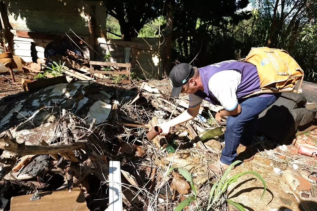 Com mais de 10,8 mil casos, chikungunya em MS já supera metade dos registros da última década Com mais de 10,8 mil casos, chikungunya em MS já supera metade dos registros da última década