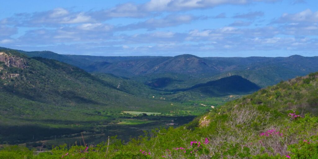 Rio Grande do Norte cria nova unidade de conservação da Caatinga rio-grande-do-norte-cria-nova-unidade-de-conservacao-da-caatinga