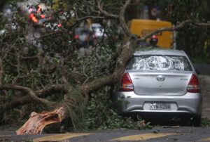 como-acionar-o-seguro-por-queda-de-arvore-ou-granizo-no-carro