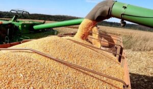 Safra de soja em Mato Grosso do Sul cresce 26% e colheita chega a 98% safra-de-soja-em-mato-grosso-do-sul-cresce-26%-e-colheita-chega-a-98%