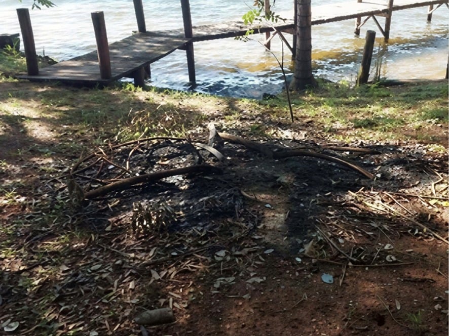 MP investiga queima irregular em área protegida às margens do rio Sucuriú mp-investiga-queima-irregular-em-area-protegida-as-margens-do-rio-sucuriu