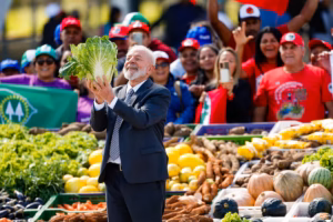 Novo Desenrola Rural vai dar desconto em dívidas do Pronaf e ampliar renegociação novo-desenrola-rural-vai-dar-desconto-em-dividas-do-pronaf-e-ampliar-renegociacao