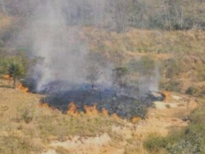 queimada-irregular-destroi-quase-600-hectares-em-porto-murtinho-e-entra-na-mira-do-mpms