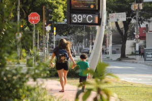 estudo-com-9-mil-cidades-mostra-que-arvores-reduzem-calor-urbano,-mas-efeito-e-desigual