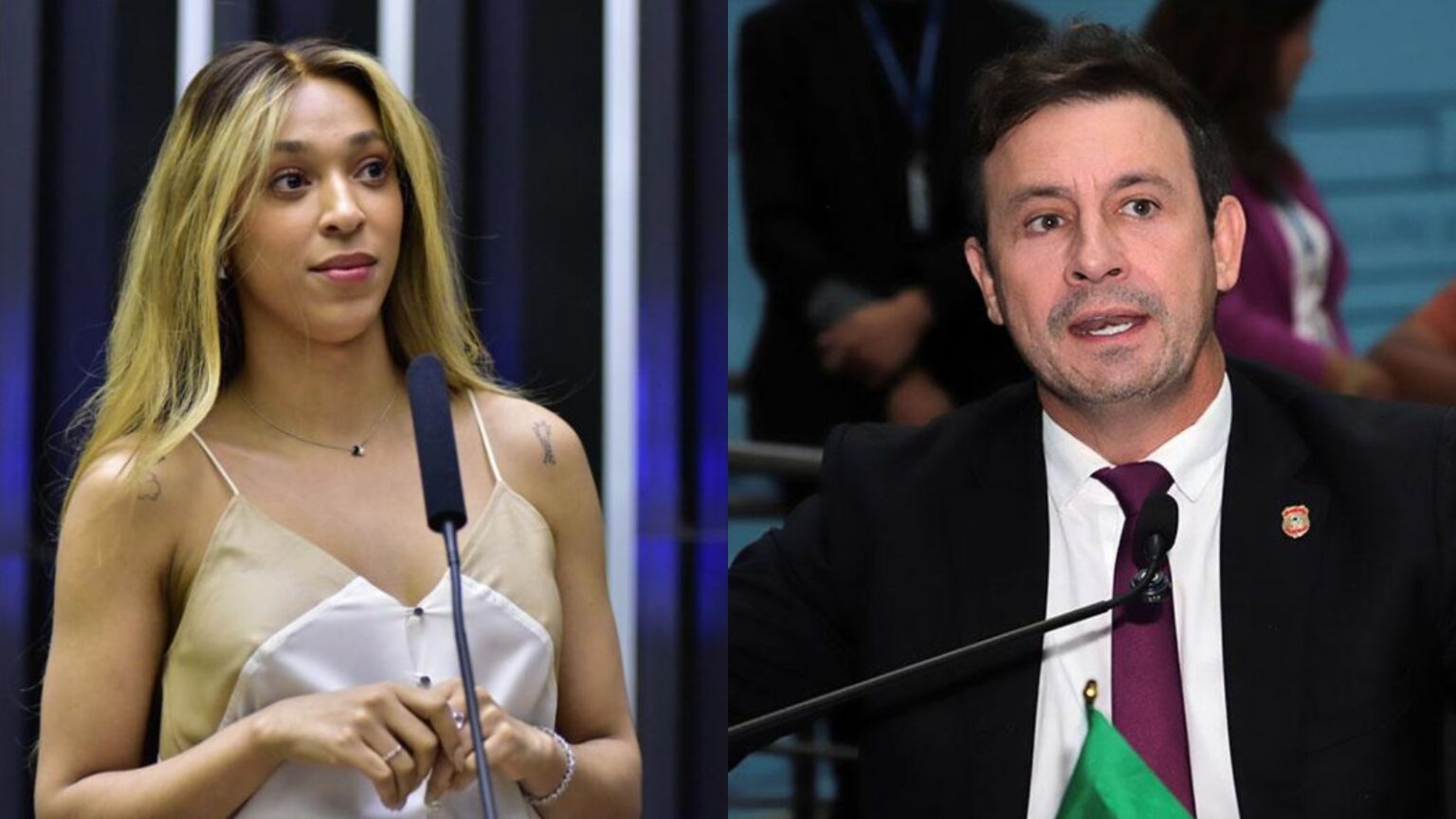Salineiro critica ação de Érika Hilton contra lei sobre banheiros femininos salineiro-critica-acao-de-erika-hilton-contra-lei-sobre-banheiros-femininos