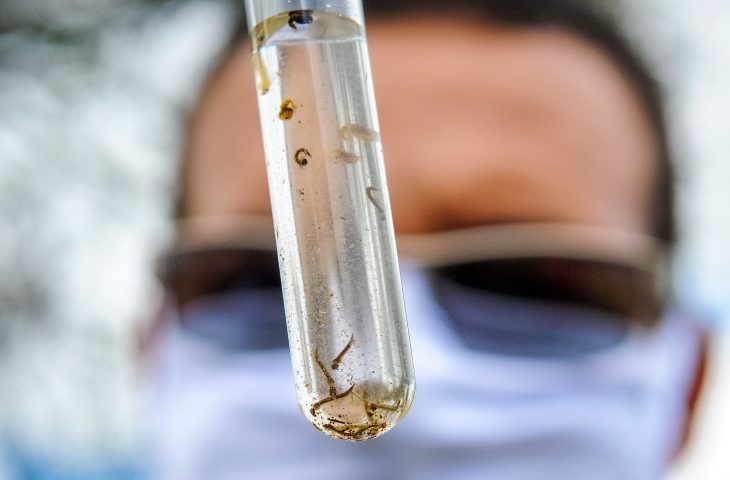 MS registra 16ª morte por chikungunya após novo óbito em Bonito ms-registra-16a-morte-por-chikungunya-apos-novo-obito-em-bonito