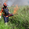 Manejo integrado do fogo avança em MS para reduzir risco de grandes incêndios manejo-integrado-do-fogo-avanca-em-ms-para-reduzir-risco-de-grandes-incendios