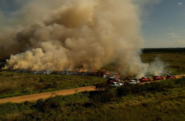 Governo de MS usa fogo controlado para evitar incêndios florestais em parque estadual governo-de-ms-usa-fogo-controlado-para-evitar-incendios-florestais-em-parque-estadual