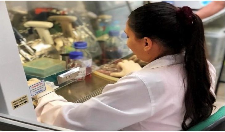 Centelha MS ganha novo prazo para inscrições de ideias inovadoras centelha-ms-ganha-novo-prazo-para-inscricoes-de-ideias-inovadoras
