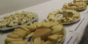 Brasil começa a importar queijo mais barato após acordo Mercosul–UE brasil-comeca-a-importar-queijo-mais-barato-apos-acordo-mercosul–ue