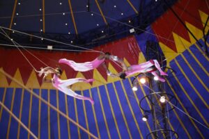 Circo ganha reconhecimento em lei como manifestação da cultura nacional circo-ganha-reconhecimento-em-lei-como-manifestacao-da-cultura-nacional