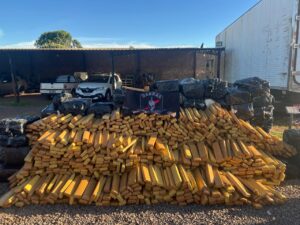 Garras apreende quase 4 toneladas de maconha escondidas em propriedade rural de Campo Grande garras-apreende-quase-4-toneladas-de-maconha-escondidas-em-propriedade-rural-de-campo-grande