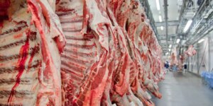 Governo promete reverter veto da UE a carnes e animais brasileiros governo-promete-reverter-veto-da-ue-a-carnes-e-animais-brasileiros