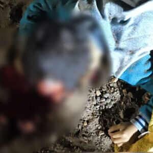 Criança de 6 anos morre ao ser atropelada por carreta no Centro Oeste crianca-de-6-anos-morre-ao-ser-atropelada-por-carreta-no-centro-oeste