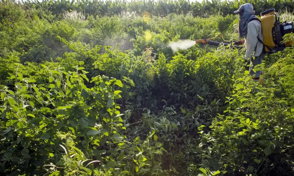 Governo lança painel para monitorar agrotóxicos em bacias hidrográficas do país governo-lanca-painel-para-monitorar-agrotoxicos-em-bacias-hidrograficas-do-pais
