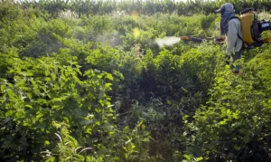 governo-lanca-painel-para-monitorar-agrotoxicos-em-bacias-hidrograficas-do-pais