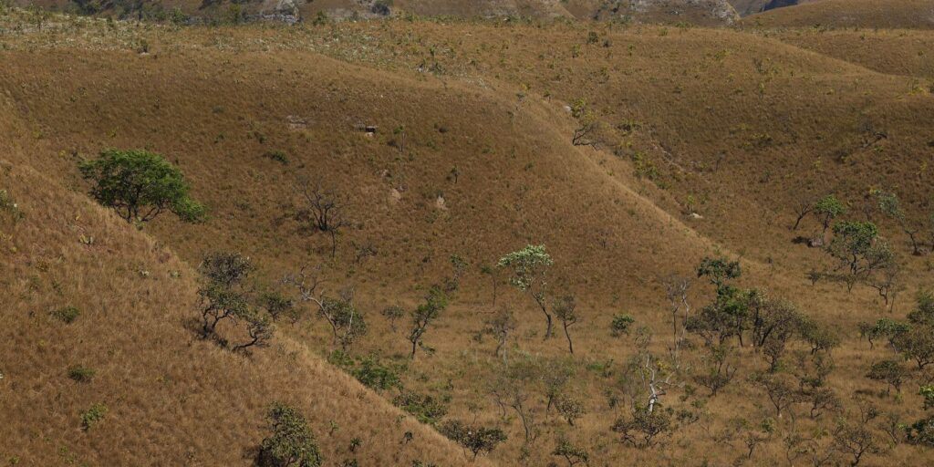 MapBiomas: fragmentação de áreas naturais quase triplicou em 40 anos mapbiomas:-fragmentacao-de-areas-naturais-quase-triplicou-em-40-anos