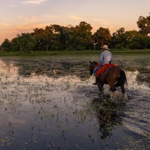 Peão de comitiva cai de caminhão boiadeiro no Pantanal e morre meses depois peao-de-comitiva-cai-de-caminhao-boiadeiro-no-pantanal-e-morre-meses-depois