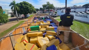prf-apreende-mais-de-8-toneladas-de-maconha-e-haxixe-em-caminhao-na-br-163