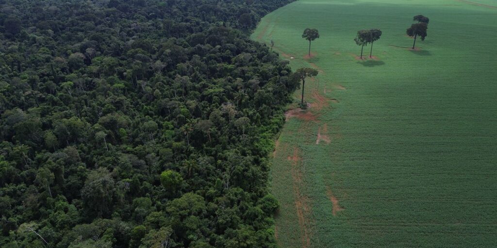 ONU realiza Fórum sobre Florestas em Nova Iorque onu-realiza-forum-sobre-florestas-em-nova-iorque