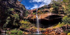 crianca-de-8-anos-e-atacada-por-onca-na-chapada-dos-veadeiros