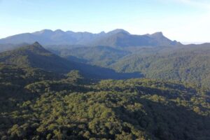Comissão debate papel da Mata Atlântica na adaptação às mudanças climáticas comissao-debate-papel-da-mata-atlantica-na-adaptacao-as-mudancas-climaticas