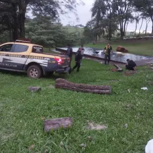 Moradora de Campo Grande morre após fuga policial terminar em piscina no Paraguai moradora-de-campo-grande-morre-apos-fuga-policial-terminar-em-piscina-no-paraguai