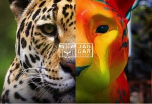 MS firma parceria com Jaguar Parade para promover turismo e conservação da onça-pintada ms-firma-parceria-com-jaguar-parade-para-promover-turismo-e-conservacao-da-onca-pintada