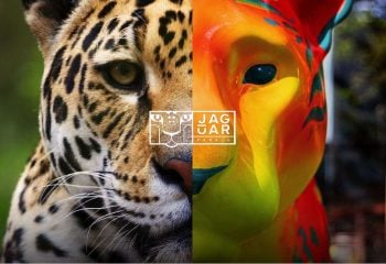 MS firma parceria com Jaguar Parade para promover turismo e conservação da onça-pintada ms-firma-parceria-com-jaguar-parade-para-promover-turismo-e-conservacao-da-onca-pintada