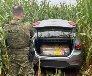 BPFRON apreende mais de 170 quilos de maconha em Juranda bpfron-apreende-mais-de-170-quilos-de-maconha-em-juranda