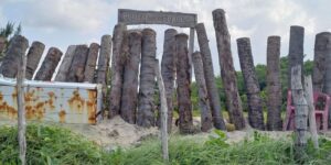 Justiça manda demolir muro de 570 metros no Pontal de Maracaípe (PE) justica-manda-demolir-muro-de-570-metros-no-pontal-de-maracaipe-(pe)