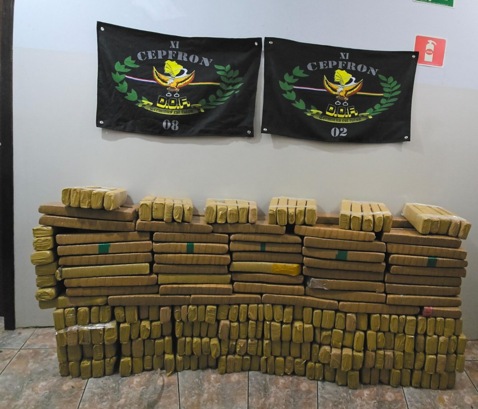 dof-apreende-quase-300-quilos-de-maconha-em-nova-andradina
