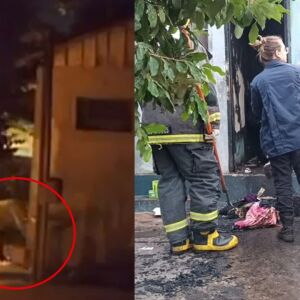 Câmera flagrou mulher ateando fogo em banheiro e matando morador de rua em Dourados (vídeo) camera-flagrou-mulher-ateando-fogo-em-banheiro-e-matando-morador-de-rua-em-dourados-(video)