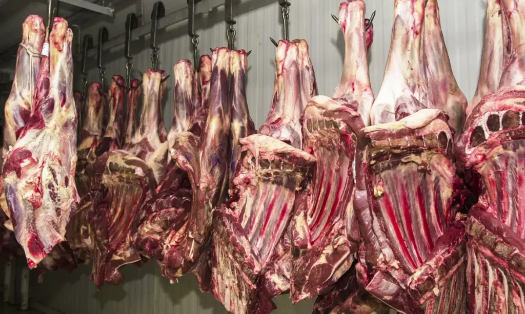 China suspende frigoríficos brasileiros após identificar irregularidades em cargas de carne china-suspende-frigorificos-brasileiros-apos-identificar-irregularidades-em-cargas-de-carne