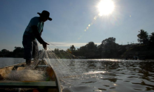 nova-lei-cria-semana-nacional-de-promocao-da-pesca-artesanal