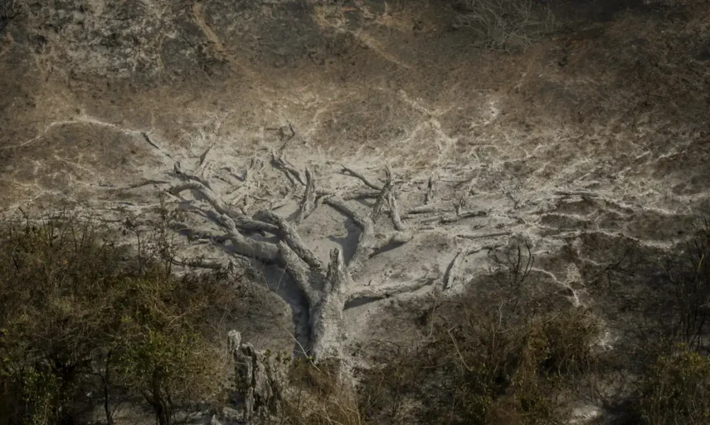 mudancas-climaticas-ja-afetam-a-rotina-de-85%-dos-brasileiros,-aponta-pesquisa
