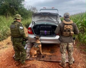 bpfron-apreendeu-300kg-de-maconha-em-operacao-conjunta-em-guaira