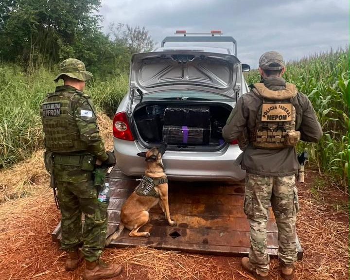 BPFRON apreendeu 300kg de maconha em operação conjunta em Guaíra bpfron-apreendeu-300kg-de-maconha-em-operacao-conjunta-em-guaira