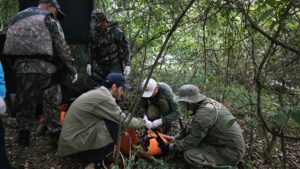 Onça-pintada retirada da área urbana de Corumbá segue monitorada após soltura na Serra do Amolar onca-pintada-retirada-da-area-urbana-de-corumba-segue-monitorada-apos-soltura-na-serra-do-amolar