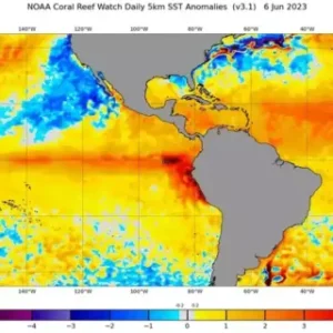 Sem super El Niño confirmado, MS já vê risco de fogo crescer no segundo semestre sem-super-el-nino-confirmado,-ms-ja-ve-risco-de-fogo-crescer-no-segundo-semestre