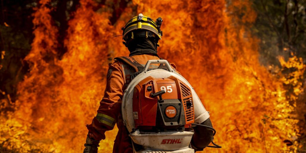 el-nino-leva-stf-a-cobrar-plano-contra-incendios-na-amazonia-legal