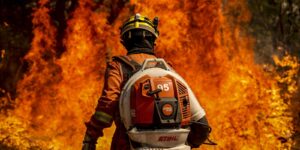 El Niño leva STF a cobrar plano contra incêndios na Amazônia Legal el-nino-leva-stf-a-cobrar-plano-contra-incendios-na-amazonia-legal